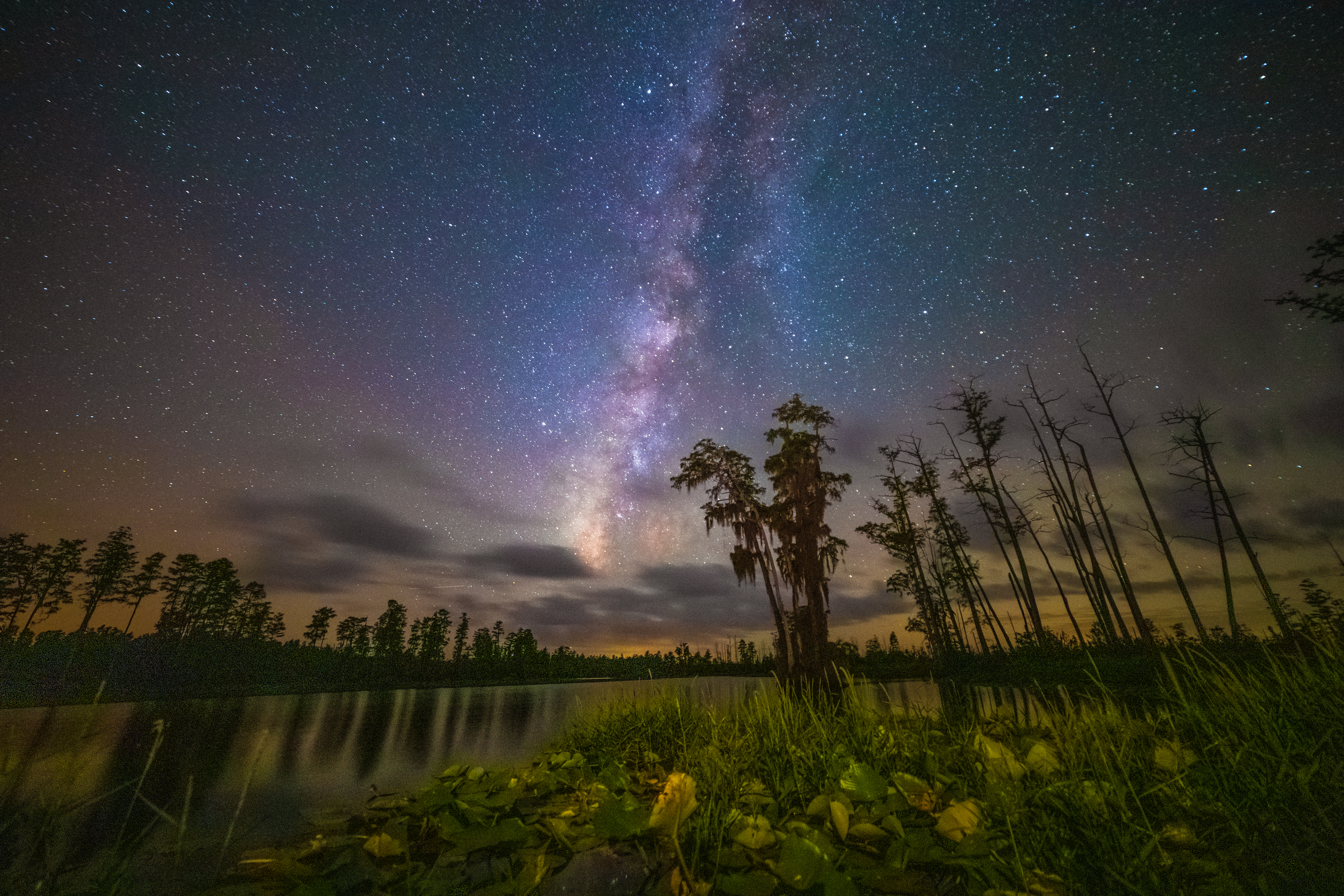 More Than 30 Groups Organize to Save Okefenokee Swamp | Defenders of